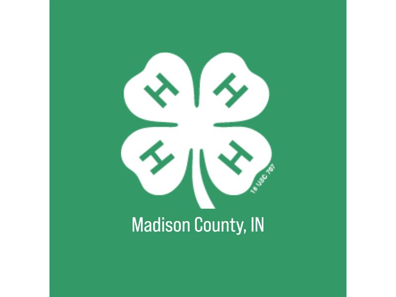 Fair Logo